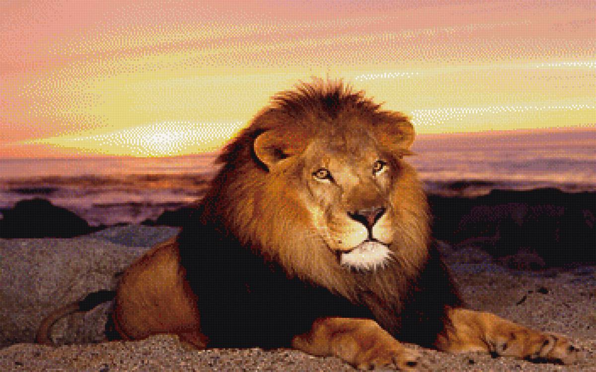 ЛЕВ - предпросмотр