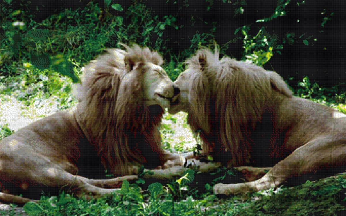 №1655198 - предпросмотр