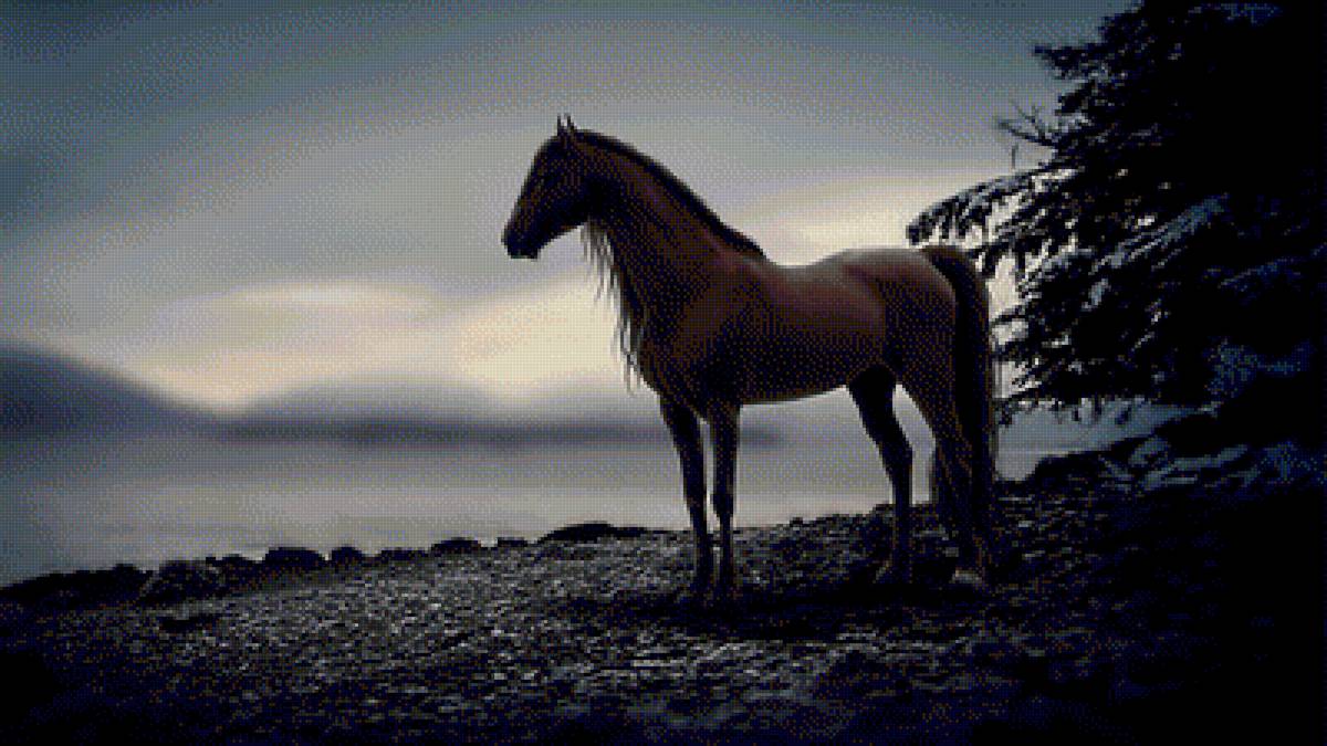 "Туманное утро" - берег, лошадь, туман - предпросмотр