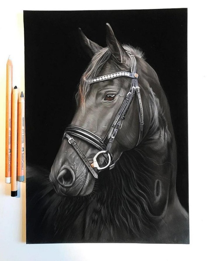 Лошадь - рисунок, лошадь - оригинал