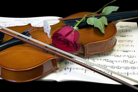 скрипка - роза, ноты, скрипка - оригинал