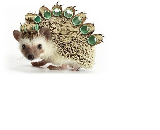 №1655608 - оригинал