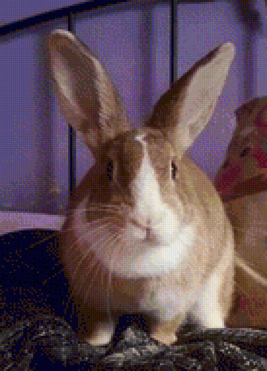 Sandra g2 - предпросмотр