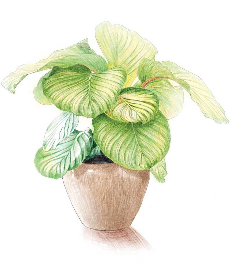 цветок в горшке - схемы - оригинал