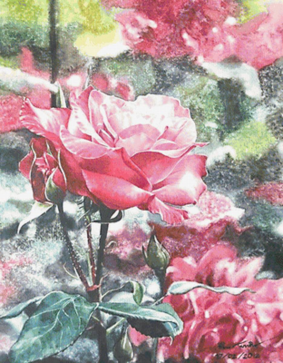 №1655892 - предпросмотр