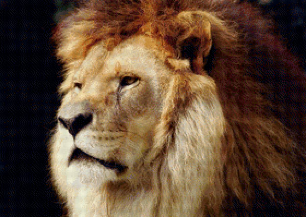 "Его Величество" - голова, лев - предпросмотр