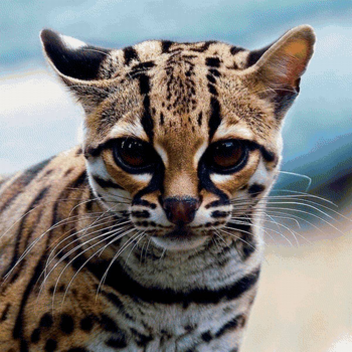 170 - предпросмотр