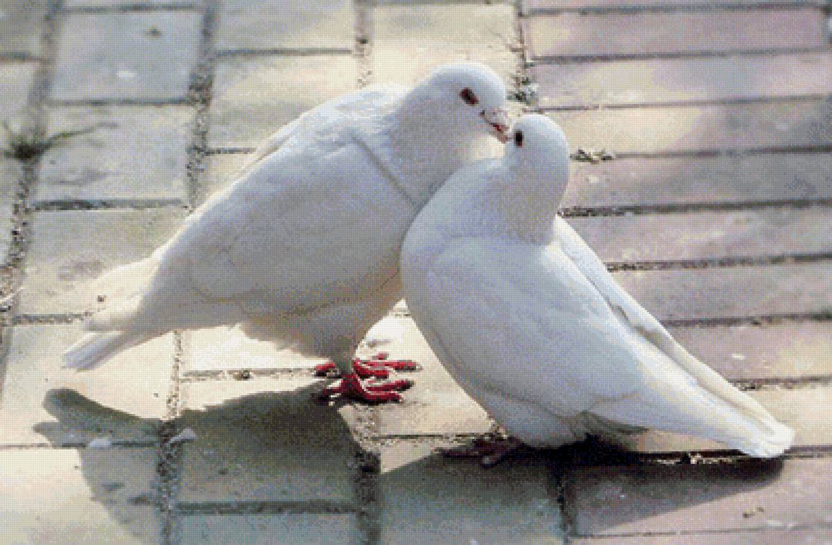 №1656071 - предпросмотр