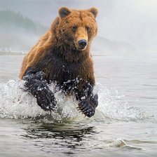 Схема вышивки «№1656140»