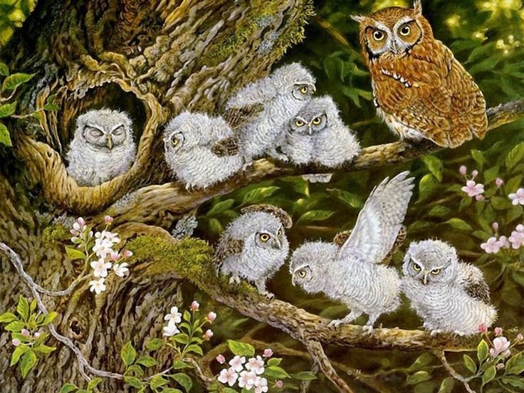 совы - картина, пейзаж, природа - оригинал