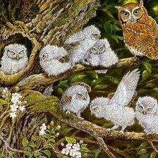 Схема вышивки «совы»