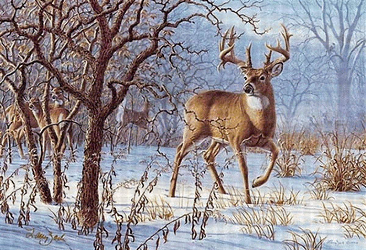 олени зимой - животные, зима, природа - предпросмотр