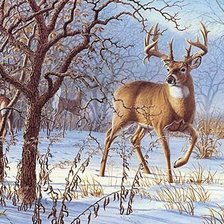 олени зимой