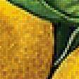 Предпросмотр схемы вышивки «Лимоны панелька3» (№1656375)