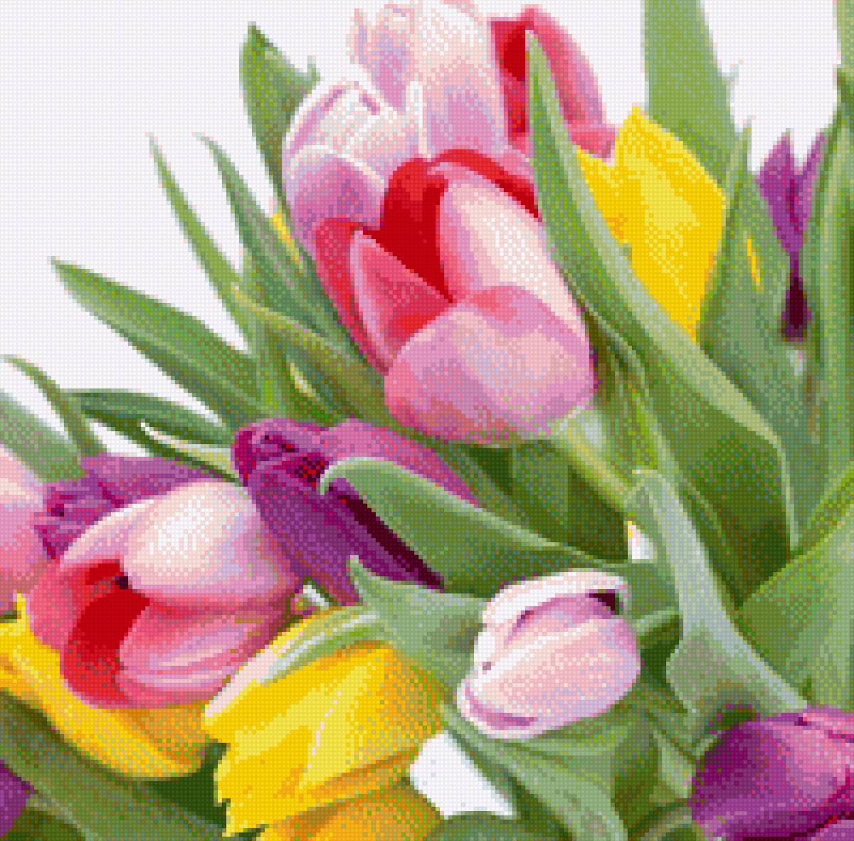 цветы - цветы - предпросмотр