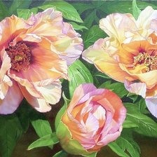 Схема вышивки «№1657065»