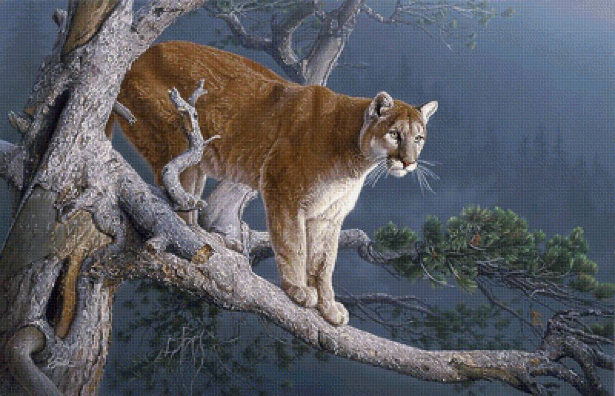 №1657069 - дикие животные - предпросмотр