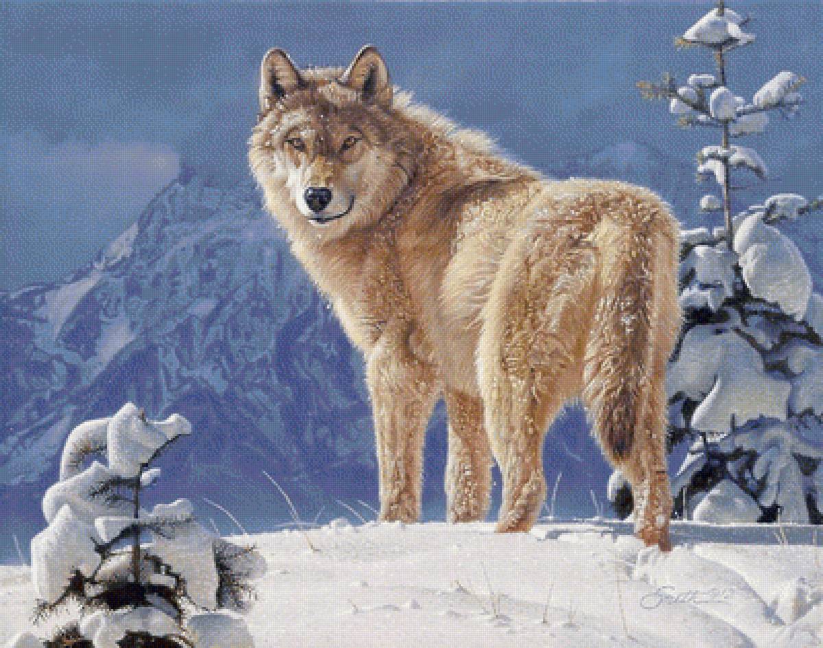 №1657117 - дикие животные - предпросмотр