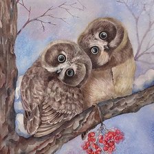 Схема вышивки «Совушки»