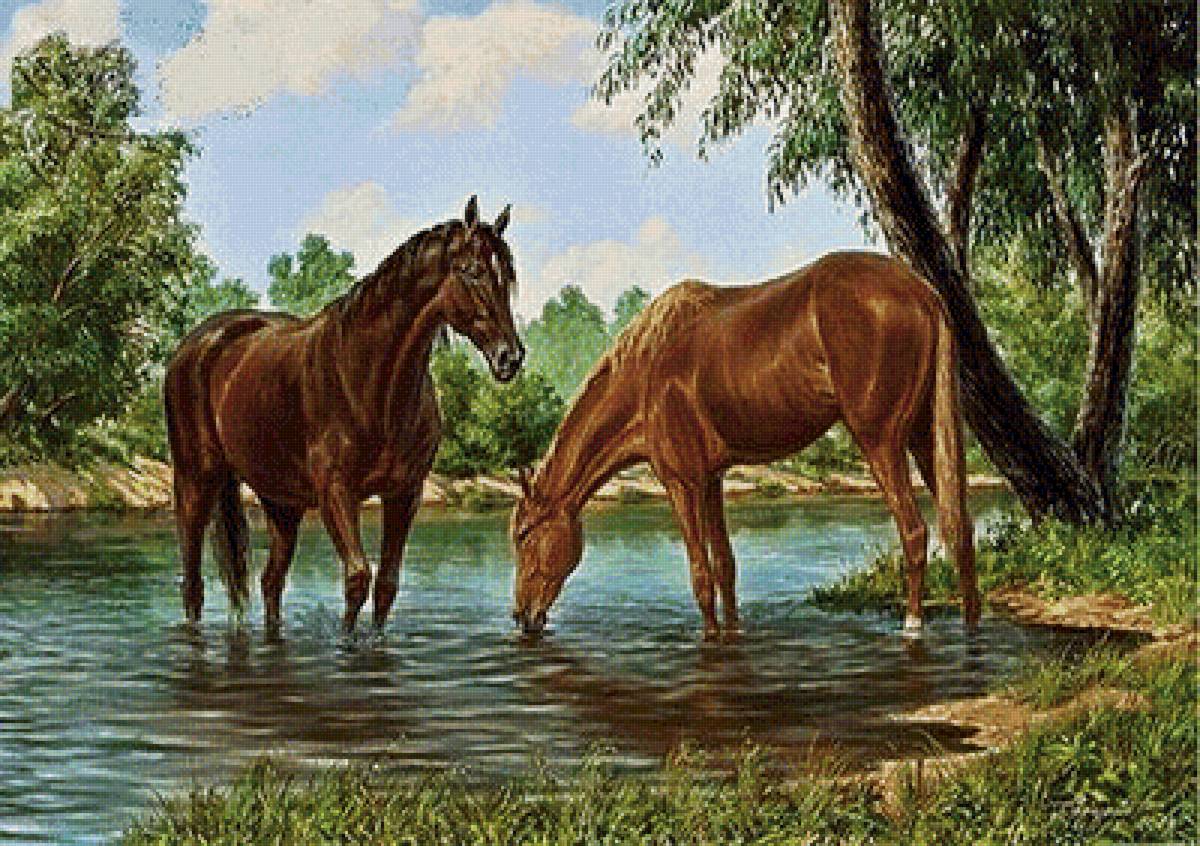 кони на водопое - животные, природа, пейзаж - предпросмотр