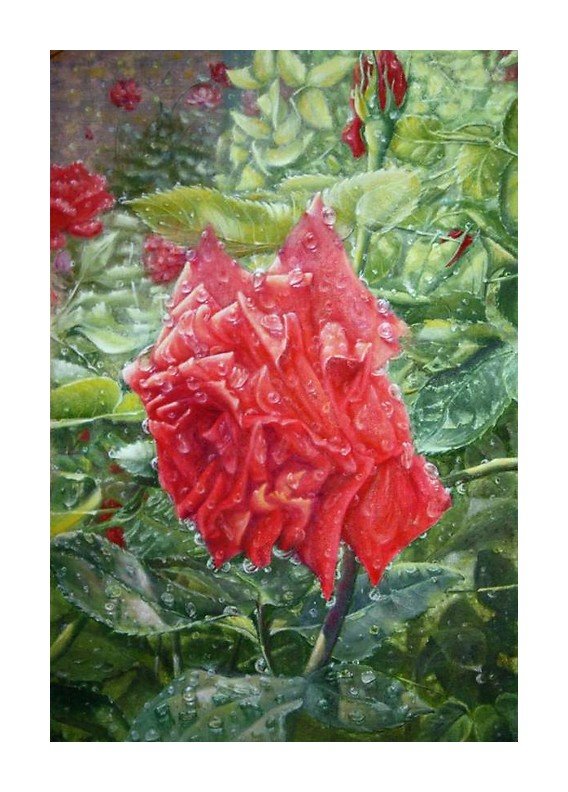 №1657353 - оригинал