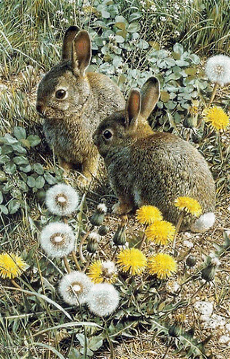 №1657416 - предпросмотр