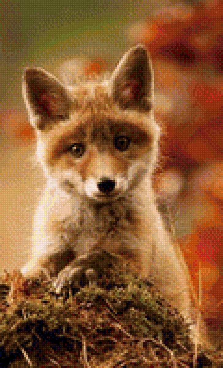 лисенок - лиса, животные, малыш - предпросмотр