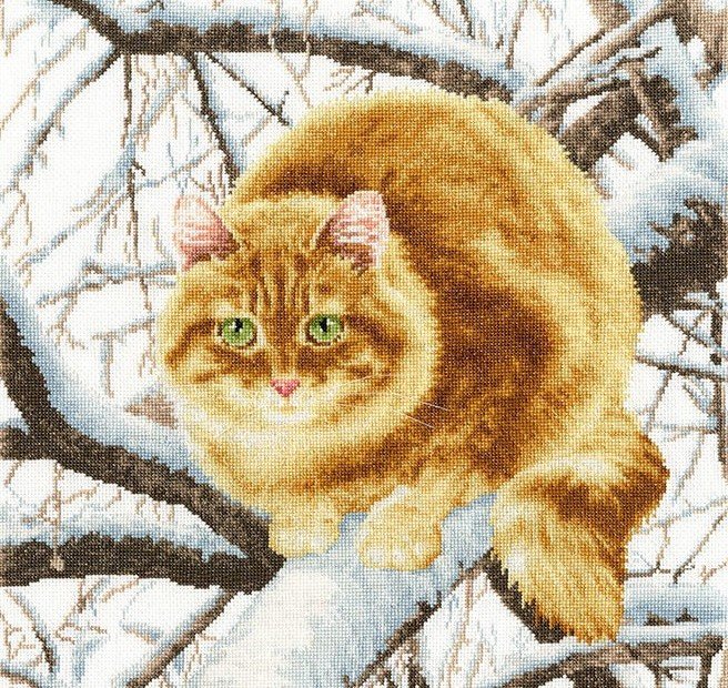 рыжий кот - кошки - оригинал