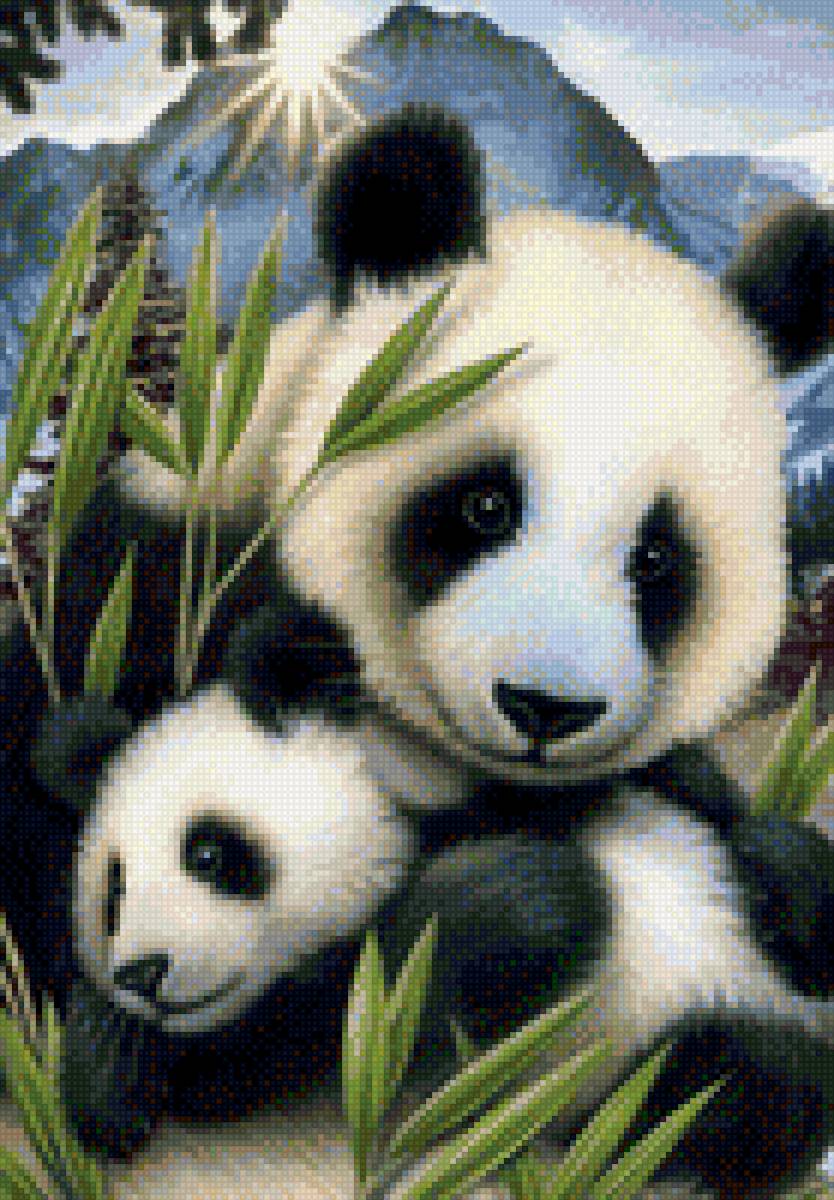 панда - предпросмотр