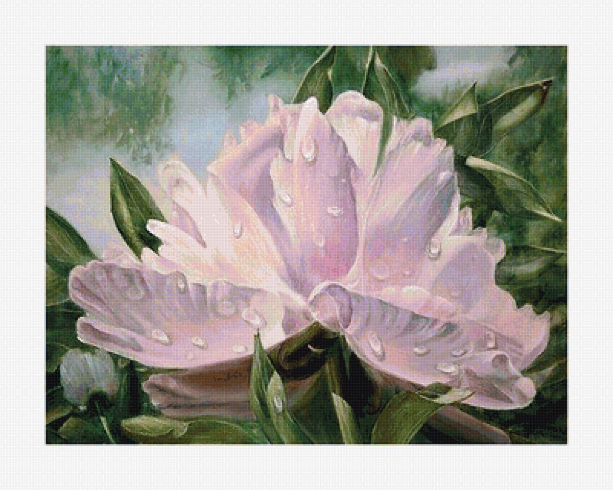 №1657821 - предпросмотр