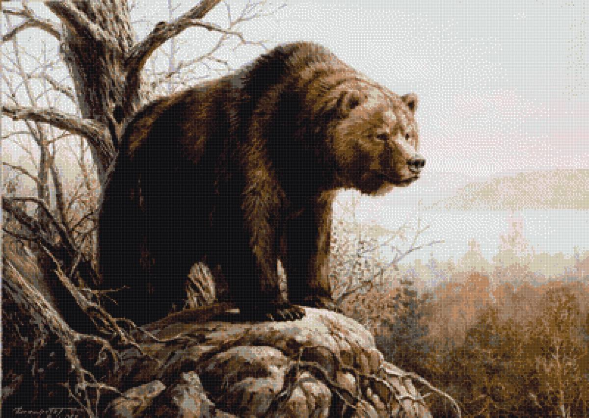 Папа-медведь - предпросмотр