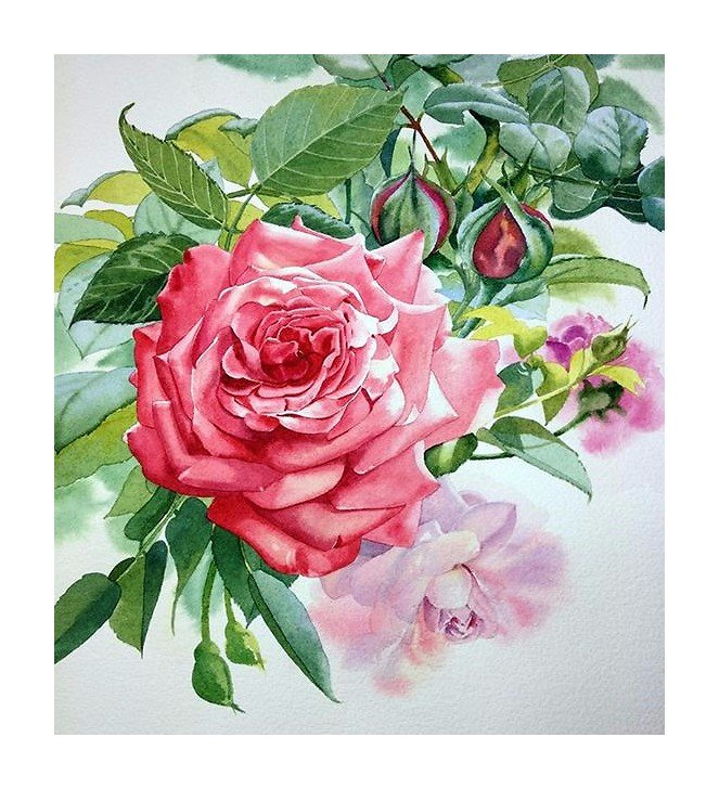 №1658366 - оригинал