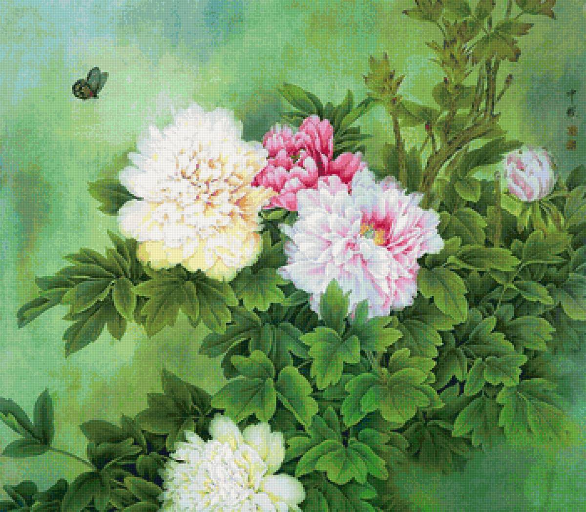 №1658677 - предпросмотр