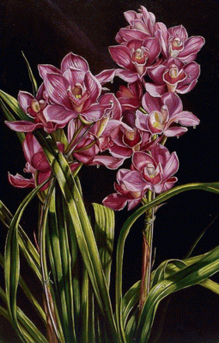 №1658683 - предпросмотр