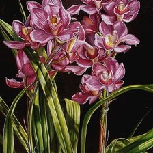 Схема вышивки «№1658683»