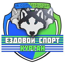 Оригинал схемы вышивки «Ездовойспорт_курган» (№1658777)