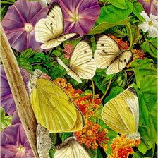 Схема вышивки «№1658789»