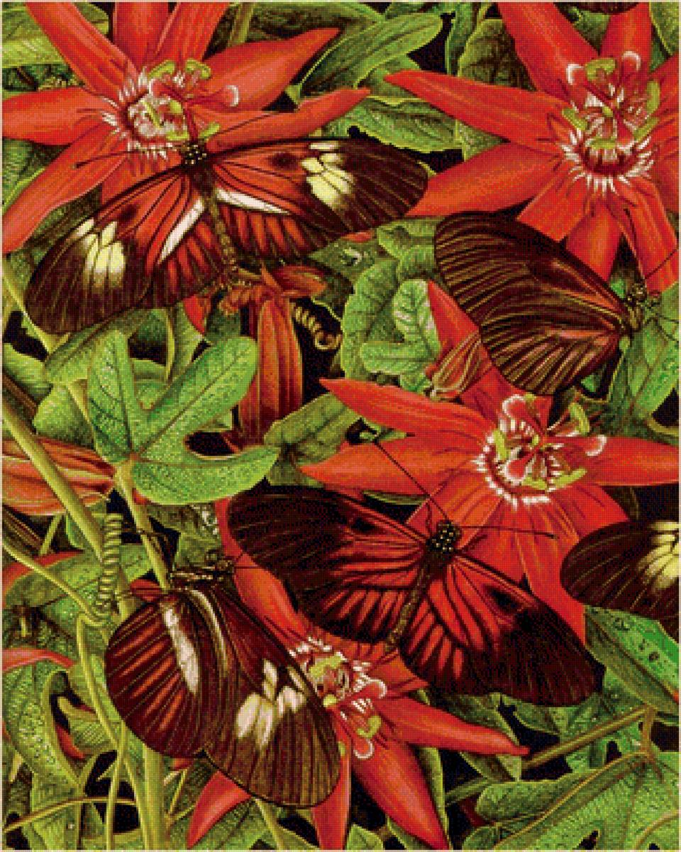 №1658791 - предпросмотр