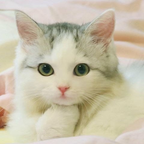 178 - оригинал