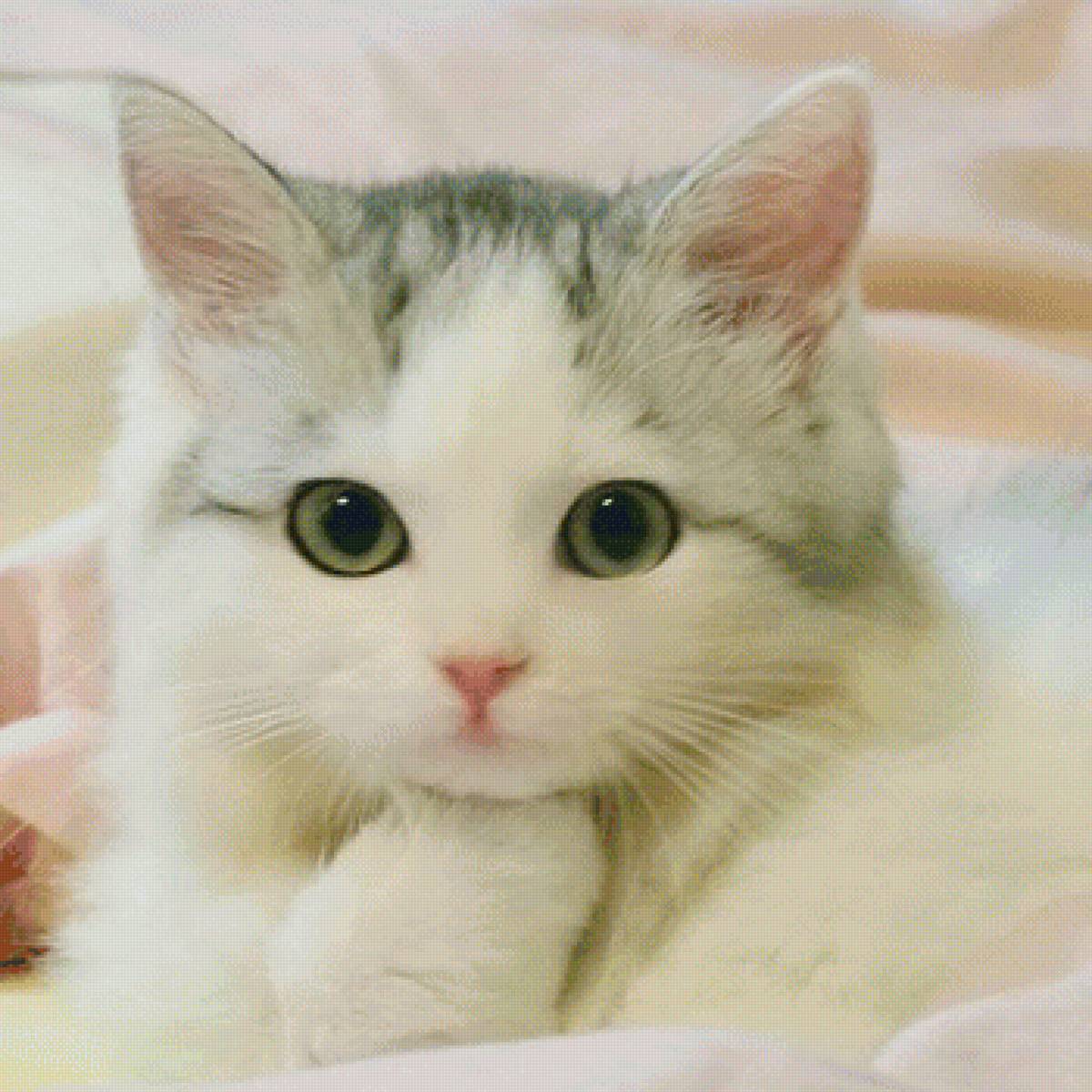 178 - предпросмотр