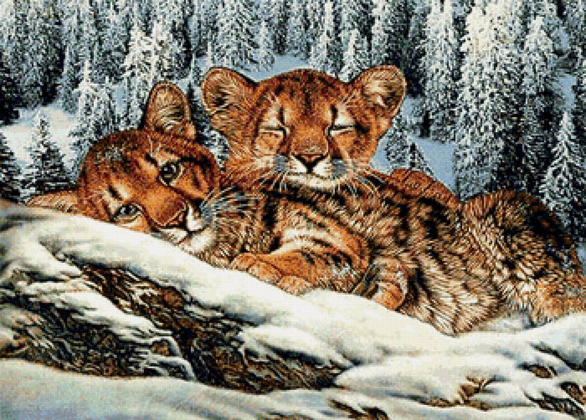 №1659257 - предпросмотр