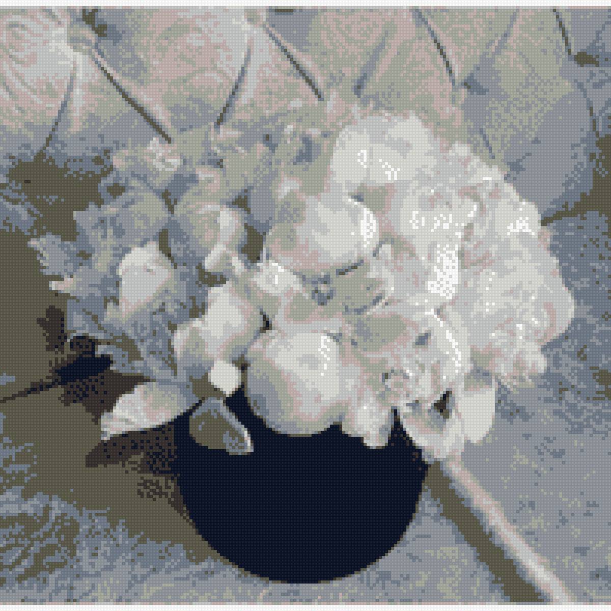 пионы - пионы белые - предпросмотр