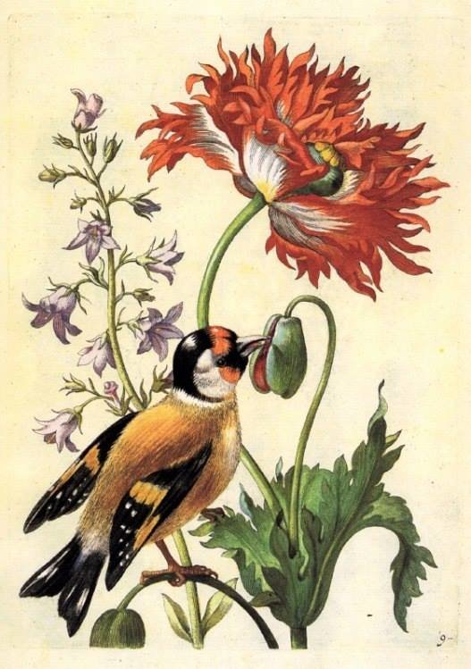 Птичка и цветок - старинная акварель - оригинал
