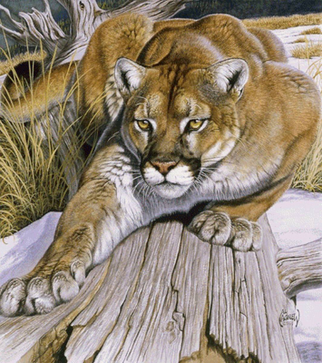 №1659717 - дикие животные - предпросмотр