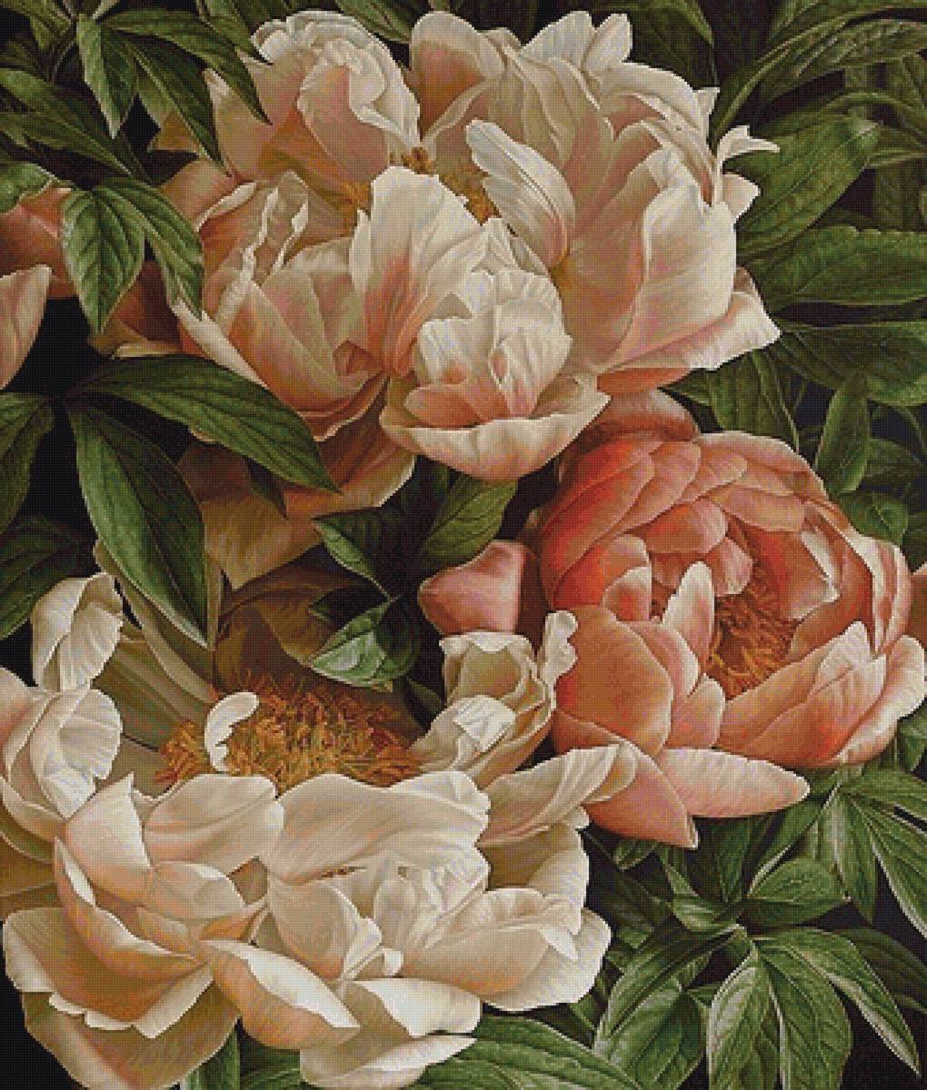 №1659778 - предпросмотр