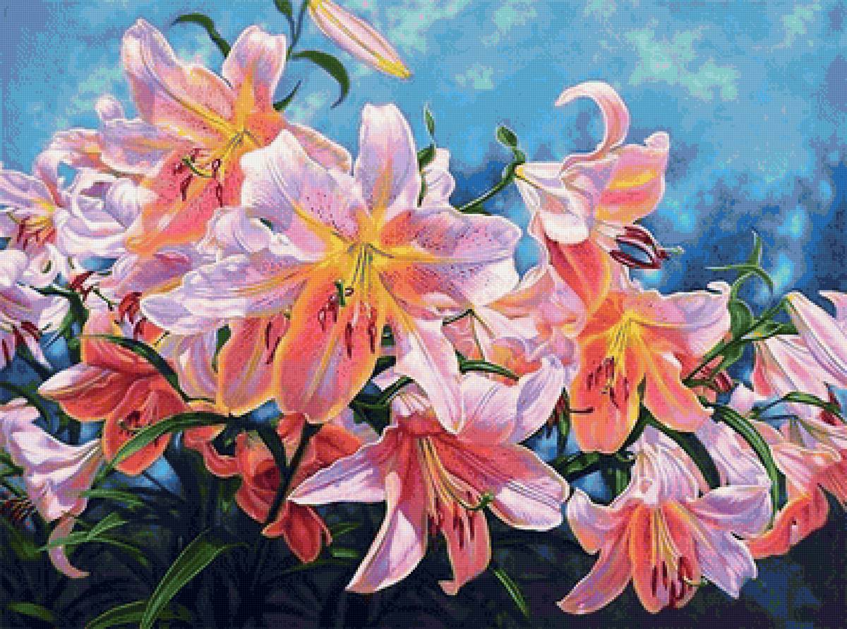 №1659867 - предпросмотр