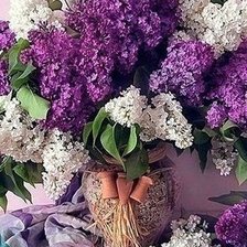 Схема вышивки «181»