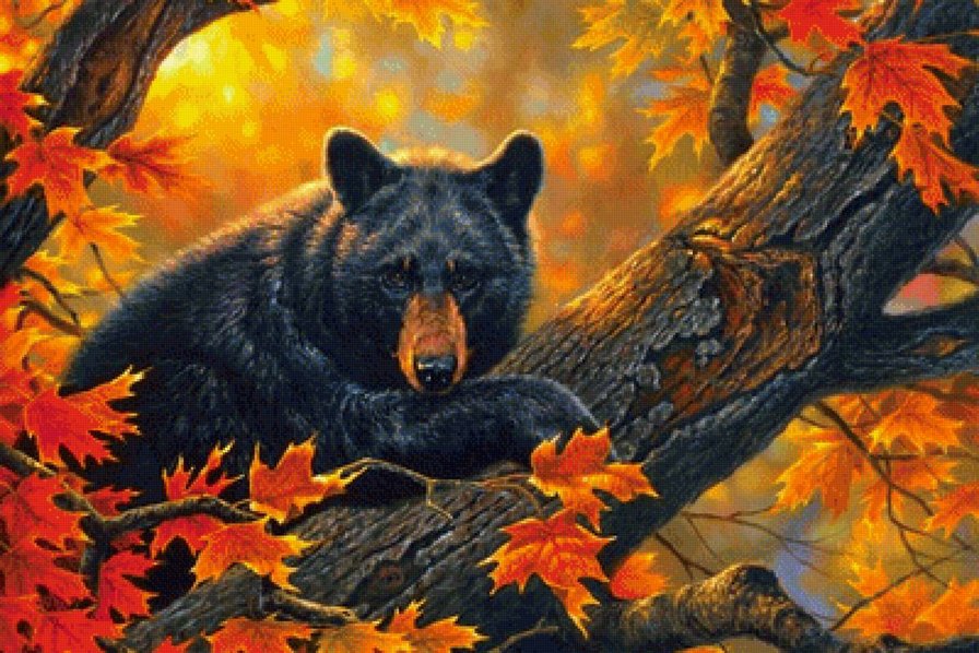 Миша осень - оригинал