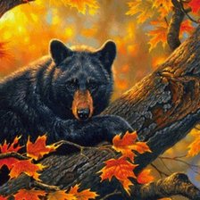 Схема вышивки «Миша осень»