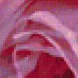 Предпросмотр схемы вышивки «Нежная роза» (№1660807)